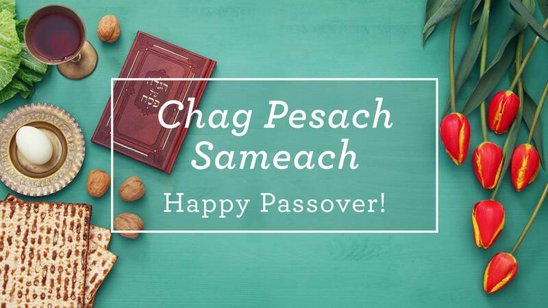 		                                		                                    <a href="https://www.oaklandsinai.org/passover-2024.html"
		                                    	target="">
		                                		                                <span class="slider_title">
		                                    Happy Passover!		                                </span>
		                                		                                </a>
		                                		                                
		                                		                            	                            	
		                            <span class="slider_description">We look forward to celebrating with you this year.</span>
		                            		                            		                            <a href="https://www.oaklandsinai.org/passover-2024.html" class="slider_link"
		                            	target="">
		                            	MORE INFO		                            </a>
		                            		                            