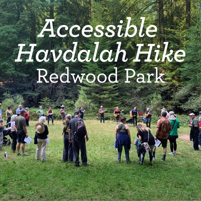 Banner Image for Accessible Sinai Green Havdalah Hike—Reinhardt Redwood Regional Park